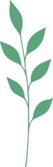 vector style floral branch transparent 