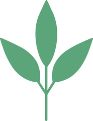 vector style floral branch transparent 