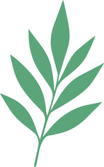 vector style floral branch transparent 