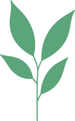 vector style floral branch transparent 