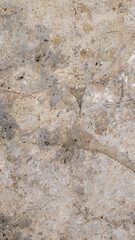 old plaster on the wall with visible details