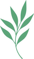 vector style floral branch transparent 