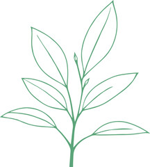 vector style floral branch transparent 