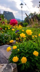 Close-up of vibrant flowers in a colorful garden with a blurred background of a house and streetlamp
