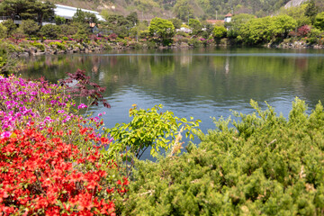 pond in the park beauty