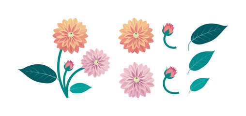 Pastel Phoenik Vector Set &ndash; Elegant Botanical Floral Elements, Bouquets, Stems, Leaves and Blossoms Collection
