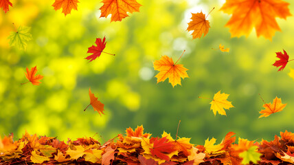 A vibrant autumn scene with falling maple leaves against a soft, blurred green backgroun
