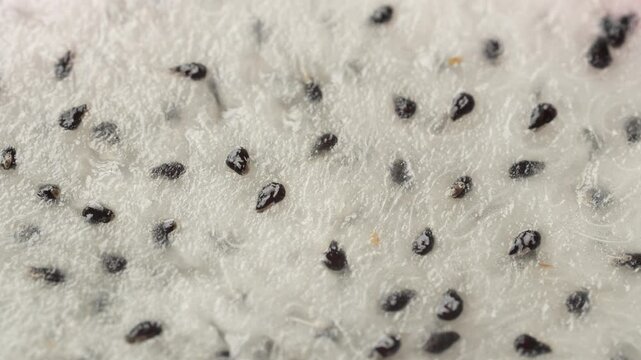 Extreme close-up 4K macro shot of rotating white-fleshed dragon fruit (pitaya). Detailed texture of the juicy white pulp and black seeds. Abstract food background.