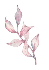 Watercolor branch with purple and pink leaves. Hand-drawn illustration with blue, purple, and pink leaves. Design and decoration for textiles and packaging.