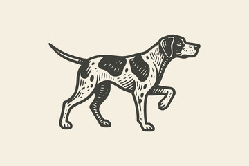 Hunting dog pointer, bold engraving sketch vector illustration