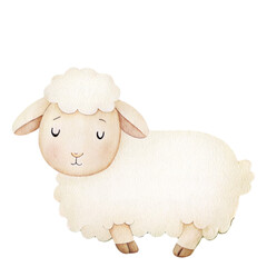 Sleeping watercolor sheep nativity illustration