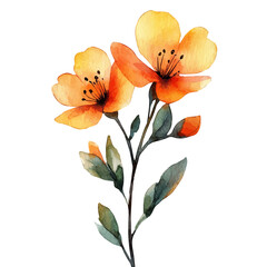 watercolor of Wax Flower, vector, isolated on a white background.
