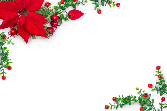 Christmas decoration with red poinsettia flowers, red berries and fir branches on a white background with copy space. Top view, flat lay