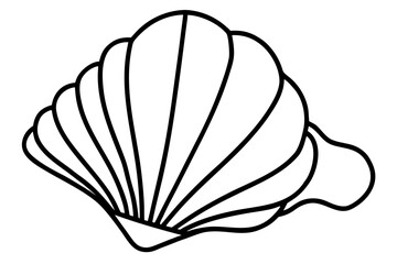 seashell coloring book page, seashell line art vector, 