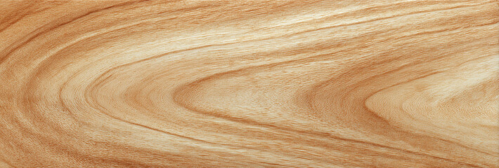 Warm natural wood grain background with smooth texture for rustic design and interiors
