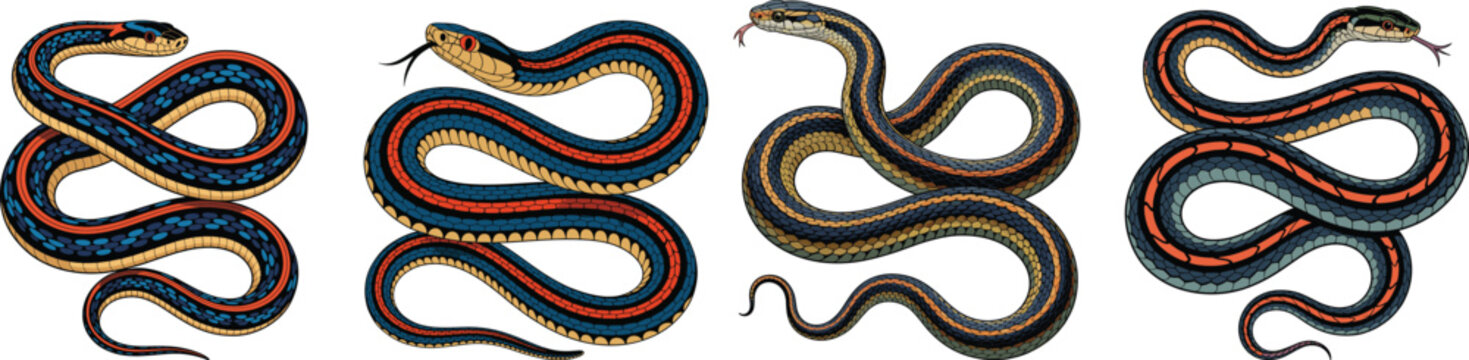 Detailed Garter Snake Vector Set: Striped Blue, Orange, and Yellow Reptile Collection