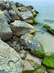 Rocky shoreline with green moss and calm waters under a clear sky at midday