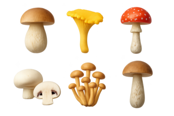 Assorted edible mushrooms: chanterelle, porcini, button, white, fly agaric, and brown-capped cluster mushrooms