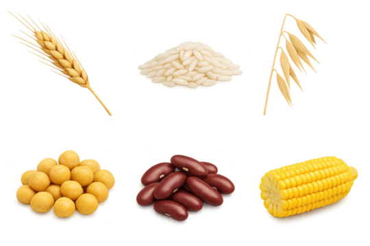 Assorted grains and legumes: wheat stalks, white rice, oats stalks yellow chickpea balls, red beans, corn on cob, kernels