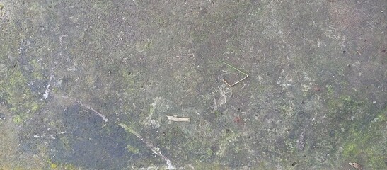 Aged Grungy Rough Concrete Floor Moss Texture