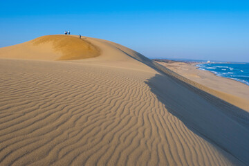 砂あらしで出来た風紋、鳥取砂丘の美しい風景