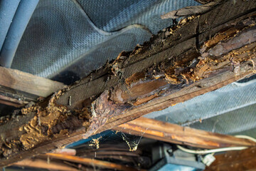 Decayed wooden beam with rot damage