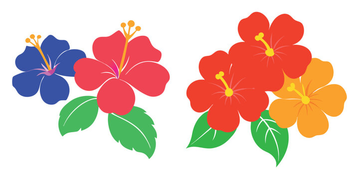 Vibrant tropical hibiscus flower clusters in bright red yellow and blue with green leaves on a white background