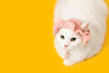 Cute white cat in funny pink hat lying on yellow background