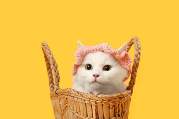 Cute white cat with funny pink hat sitting in wicker bag on yellow background