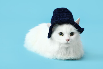Cute white cat in funny hat lying on blue background