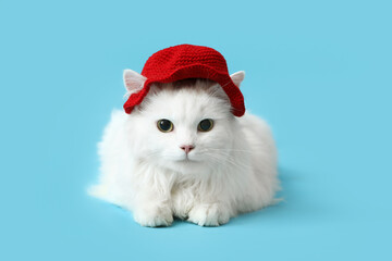 Cute white cat in funny red hat on blue background