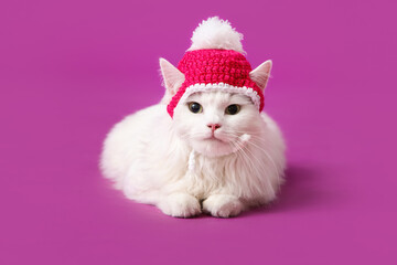 Cute white cat in funny hat sitting on purple background