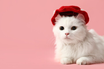 Cute white cat in funny red hat on pink background