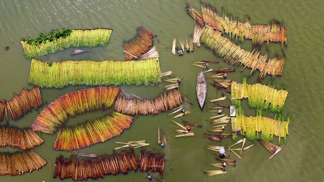 Rajshahi, Bangladesh - 06 September 2025: Aerial view of jute processing in the river, with colorful bundles floating amidst the murky water.