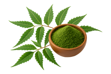 Neem Leaves with Herbal Powder in Wooden Bowl Isolated on a Transparent Background