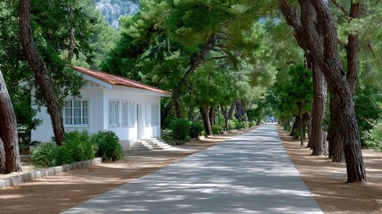 A Picturesque Tree Lined Pathway Leading To A Small White Building On A Sunny Day