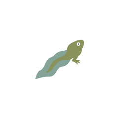 metamorphosis of frog illustration vector