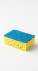 Sponge with Blue Scrubber