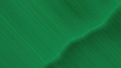 Abstract green 3D backdrop featuring ample area for text insertion