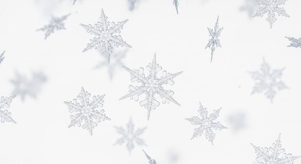 Falling Snowflake Winter Holiday Season Decoration