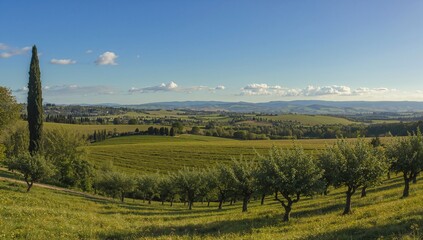 Obraz premium Scenic countryside panorama in summer with lush green fields and trees