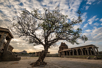 Hampi, India - 01 November 2025: View of ancient ruins framing a bare tree against a backdrop of soft, diffused sunlight and a textured sky.