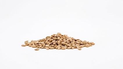 Hemp seeds arranged vertically against a white backdrop, emphasizing their nutritional benefits