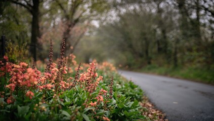 A winding path surrounded by vibrant spring blossoms and verdant foliage creating a mesmerizing bokeh background