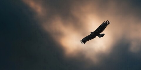 Obraz premium Eagle soars powerfully against a backdrop of moody, atmospheric clouds.