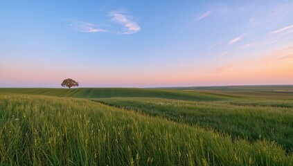 Obraz premium A serene dawn over an uninhabited steppe, highlighting seasonal change