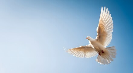 Fototapeta premium Graceful white dove soaring majestically through a clear blue sky, symbolizing peace, freedom, and hope with stunning wing detail.