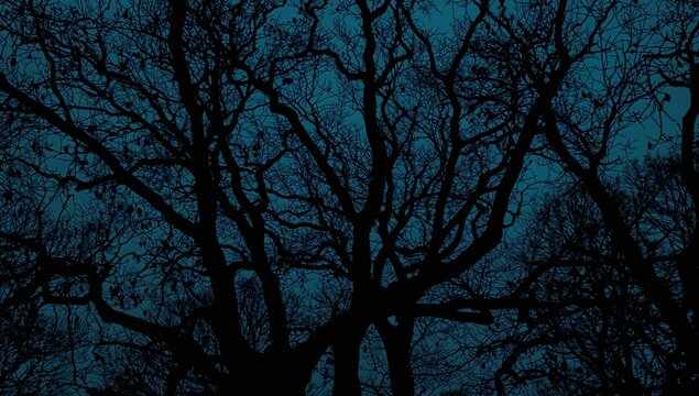 Silhouette of oak tree branches against a blue backdrop, representing seasonal change - Powered by Adobe
