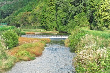 Fototapeta premium 日本の田舎の原風景と集落｜青空の下、広がる水田とあぜ道、そして古い家屋の風景