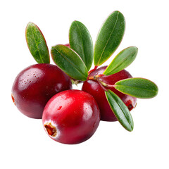 Fresh Cranberries with Leaves Isolated on White Background - Vibrant Berry Photography